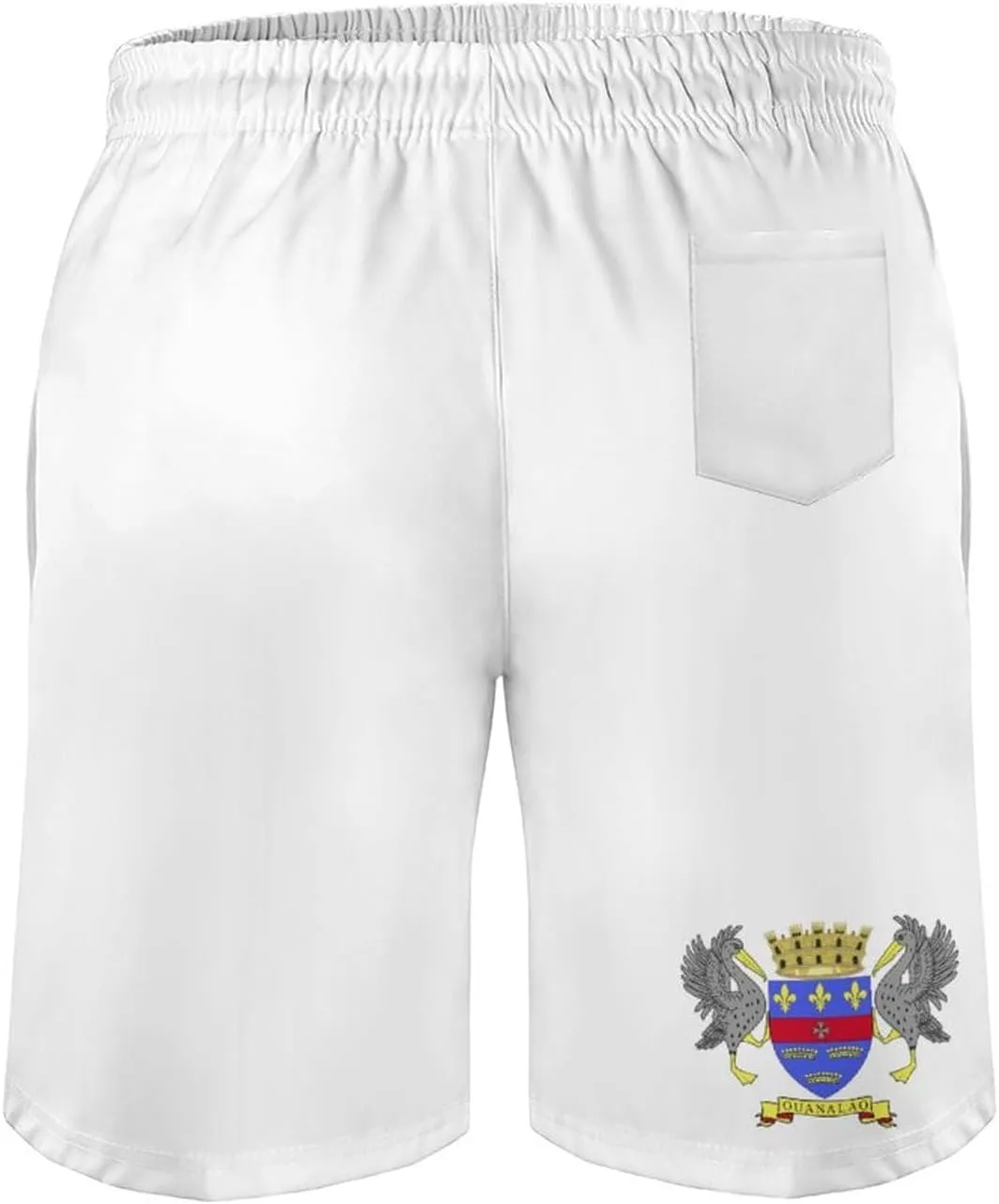 TAIZIYEAH Saint Barthelemy Flag Beach Shorts Casual Men's Swimming Trunks with Pockets Quick-Drying Printed Shorts M