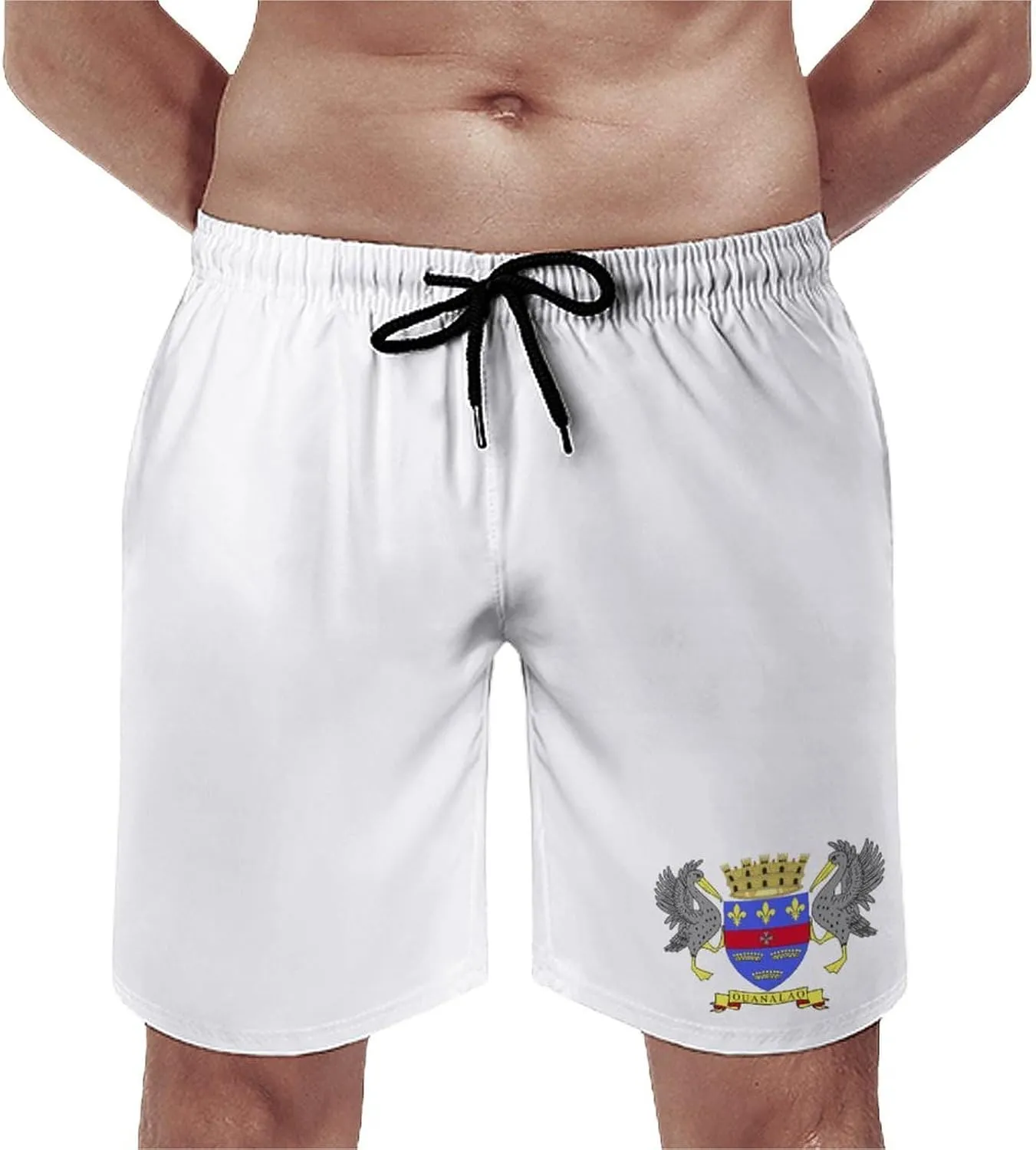 TAIZIYEAH Saint Barthelemy Flag Beach Shorts Casual Men's Swimming Trunks with Pockets Quick-Drying Printed Shorts M