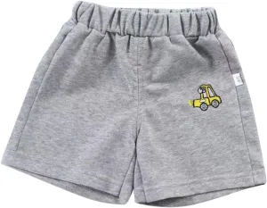 Toddler Boys Jogger Shorts Summer Athletic Short Sweat Pants Cute Dinosaur Printed Pull on Shorts for Boy Girl